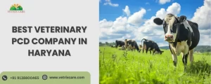 best veterinary pcd company in haryana