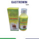 GASTROWIN 100 ML