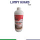 LUMPY GUARD