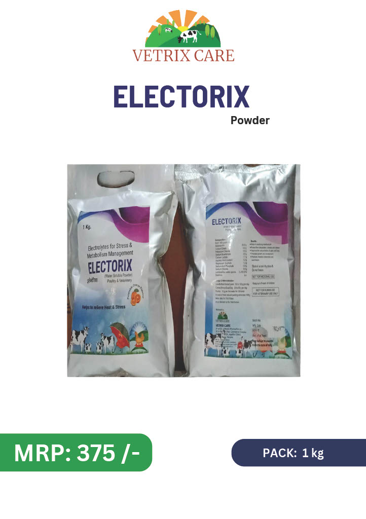 ELECTORIX 1 KG