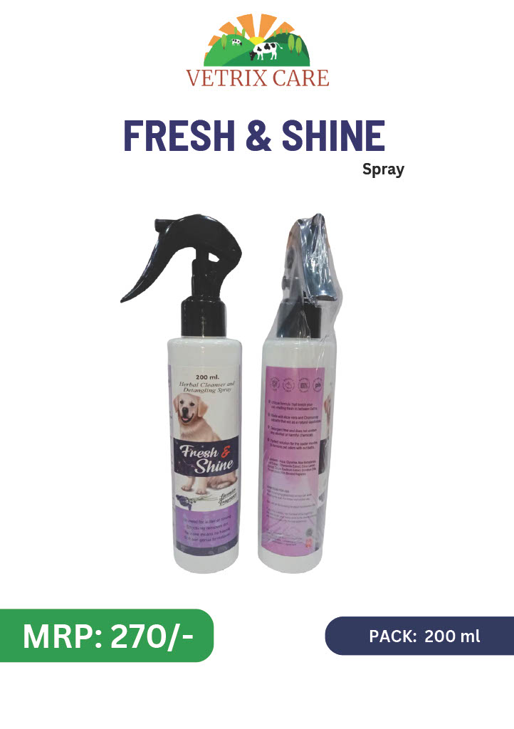 fresh & shine