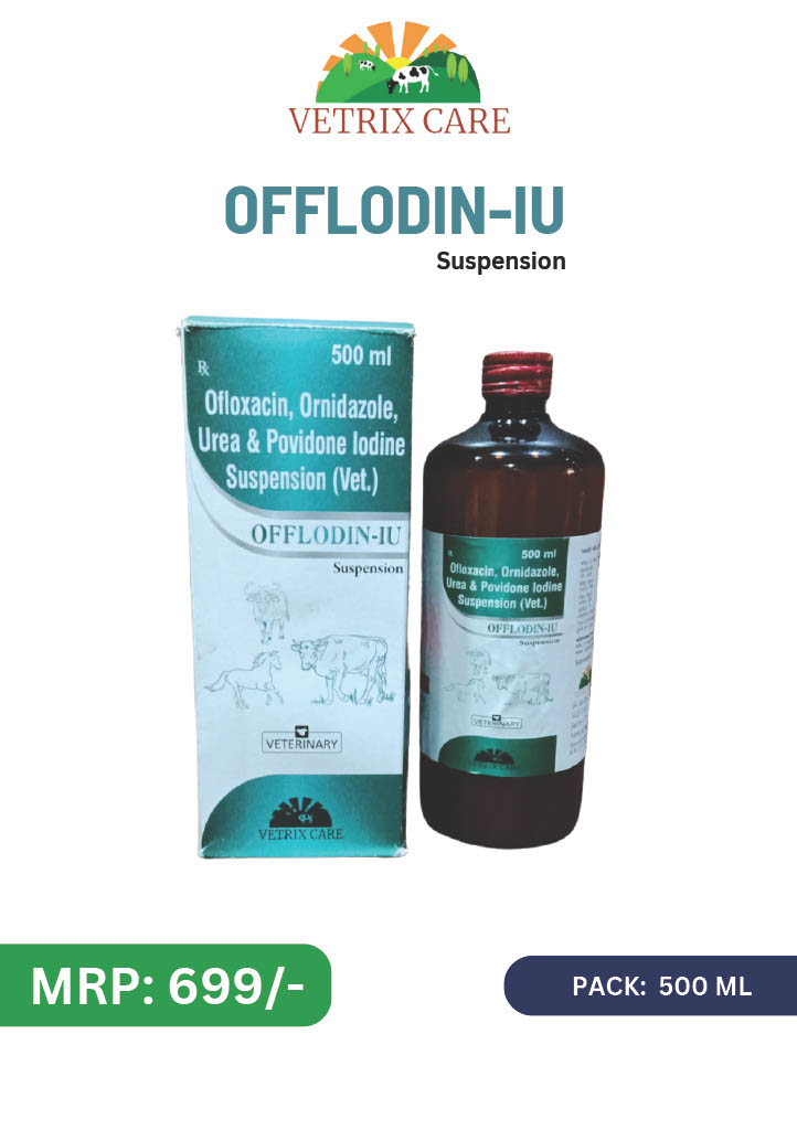 offlodin-iu