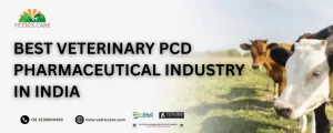 Best Veterinary PCD Pharmaceutical industry in india