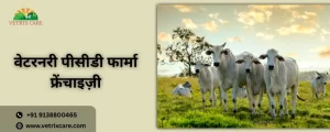 वेटरनरी पीसीडी फार्मा फ्रेंचाइज़ी
