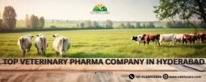 Top Veterinary pharma company in hyderabad